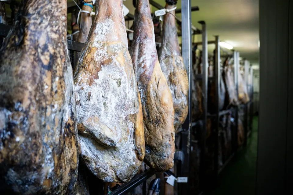 Jamones ibéricos colgados en el secadero