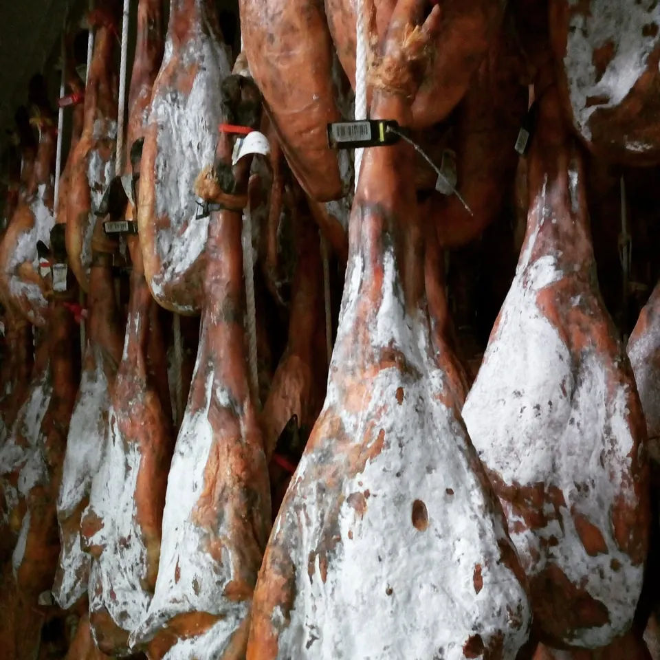 Jamones ibéricos curándose en la bodega
